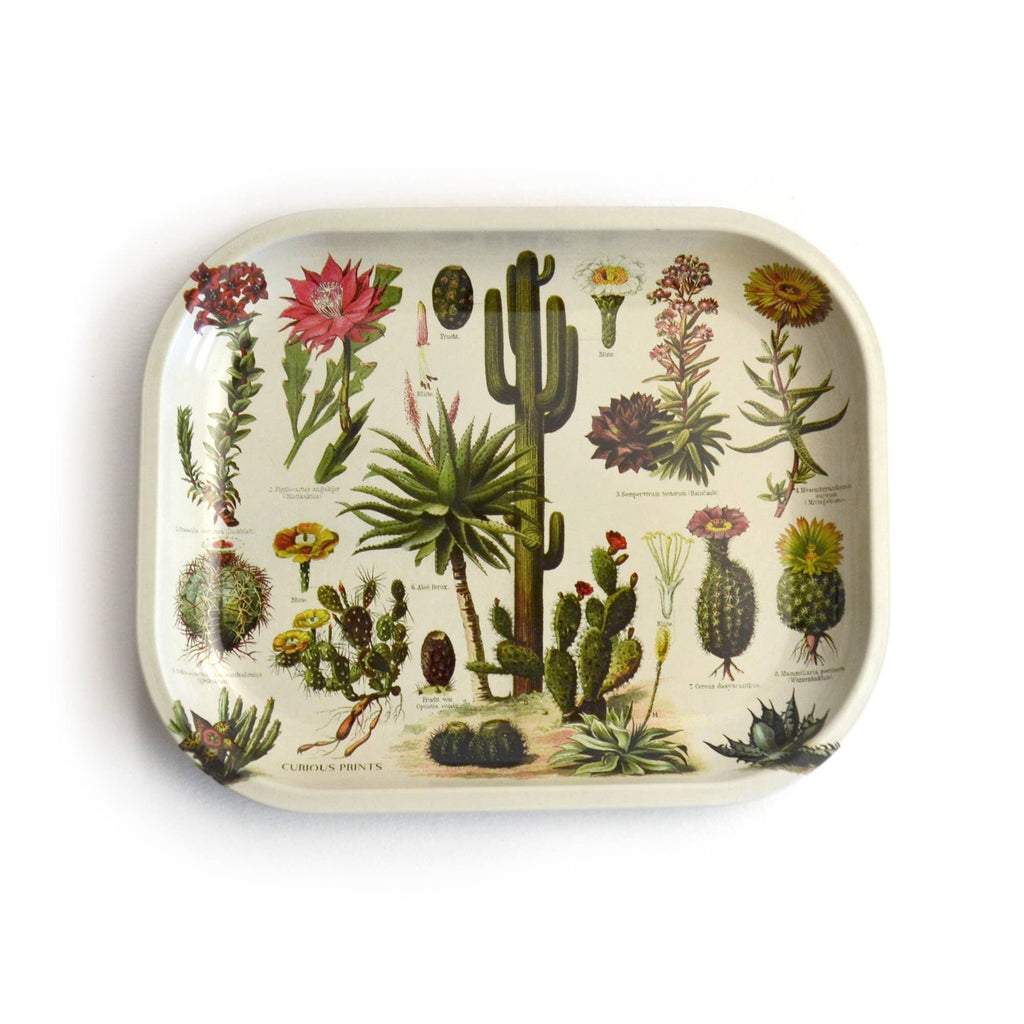 The vintage-inspired Cacti Ritual Tray is perfect as a catch-all tray, rolling tray, or for use in your ritual space; measures 5"x7" and is made of sturdy metal, features vintage German illustrations of a variety of cacti and succulent plants.