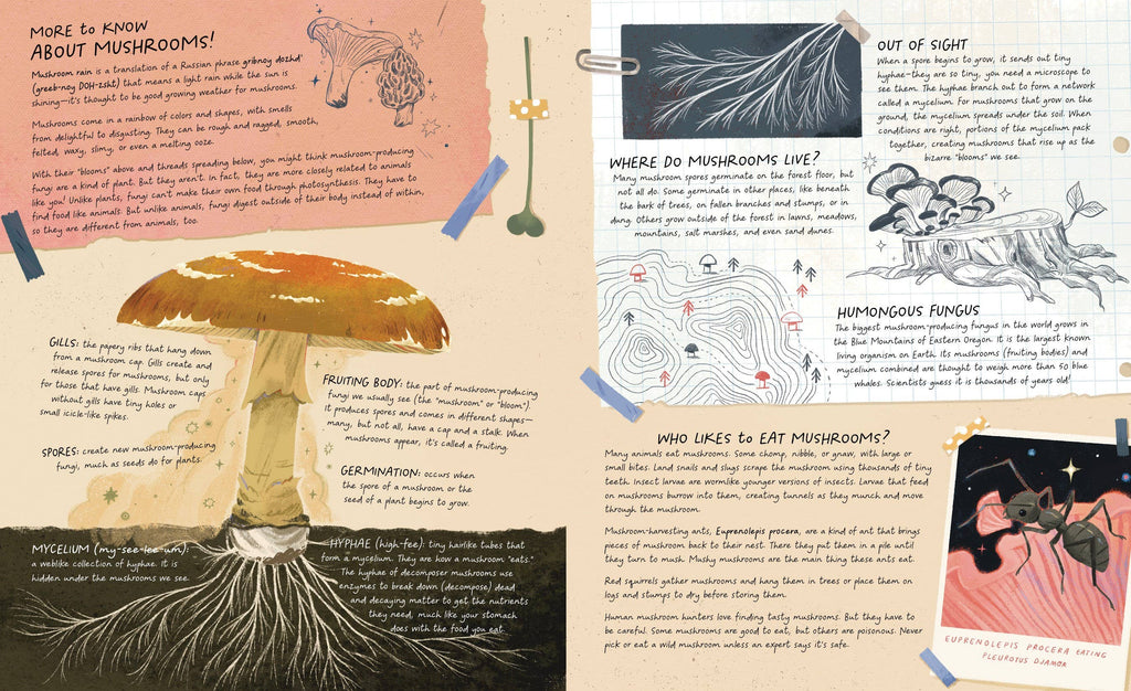 Mushroom Rain (Picture Book)