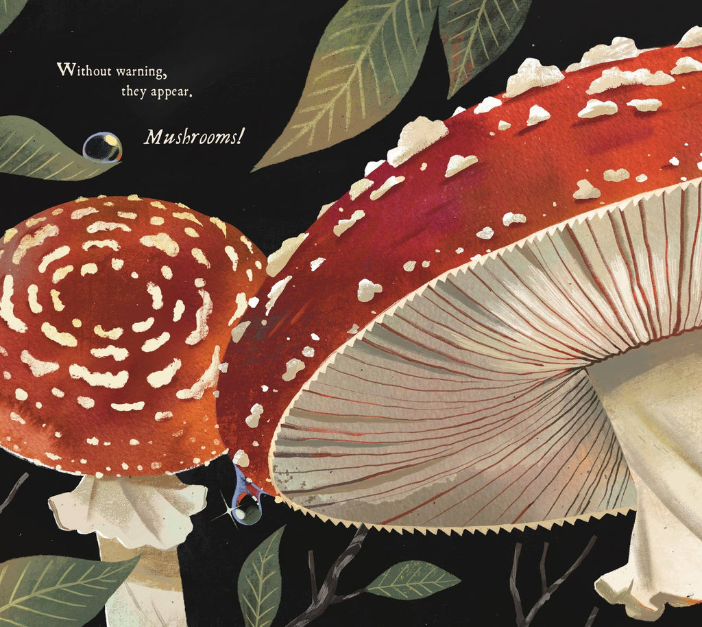 Mushroom Rain (Picture Book)