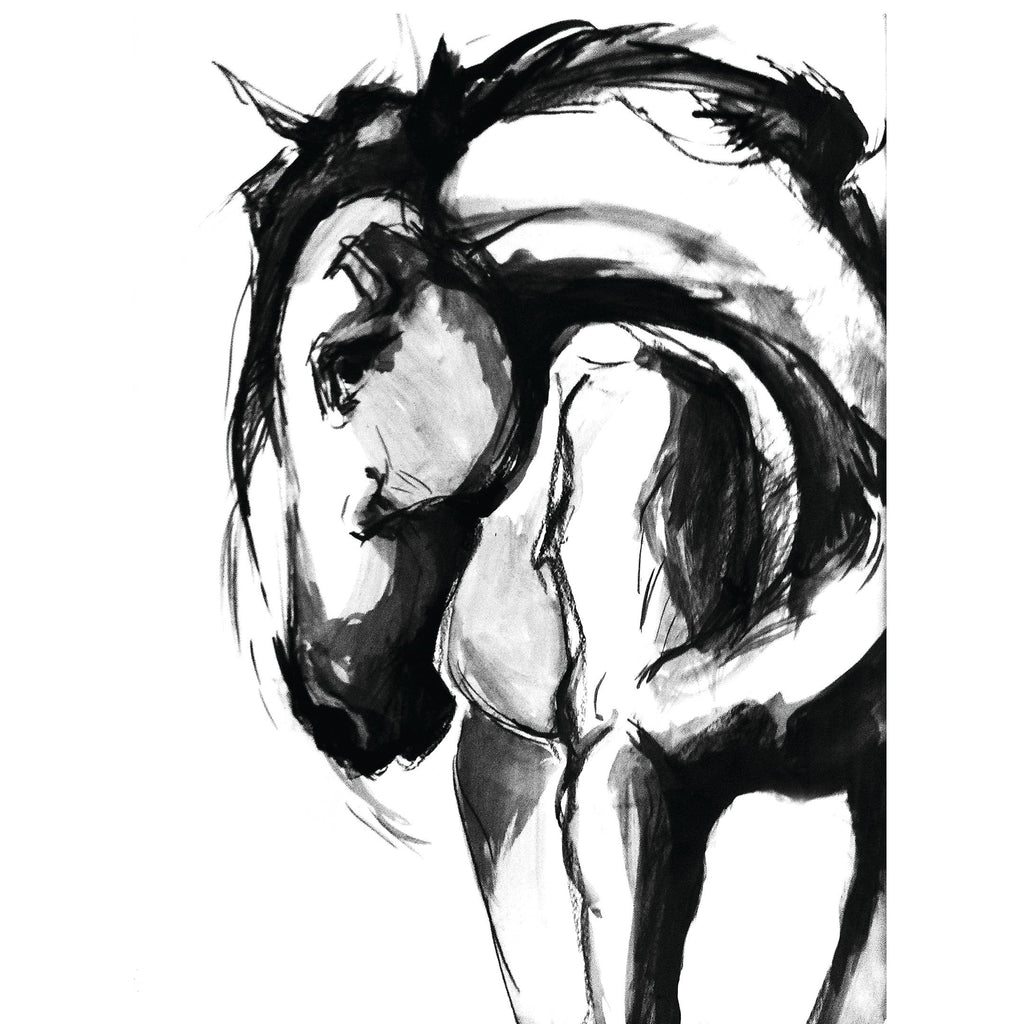 Freedom - Horse Art Canvas Print