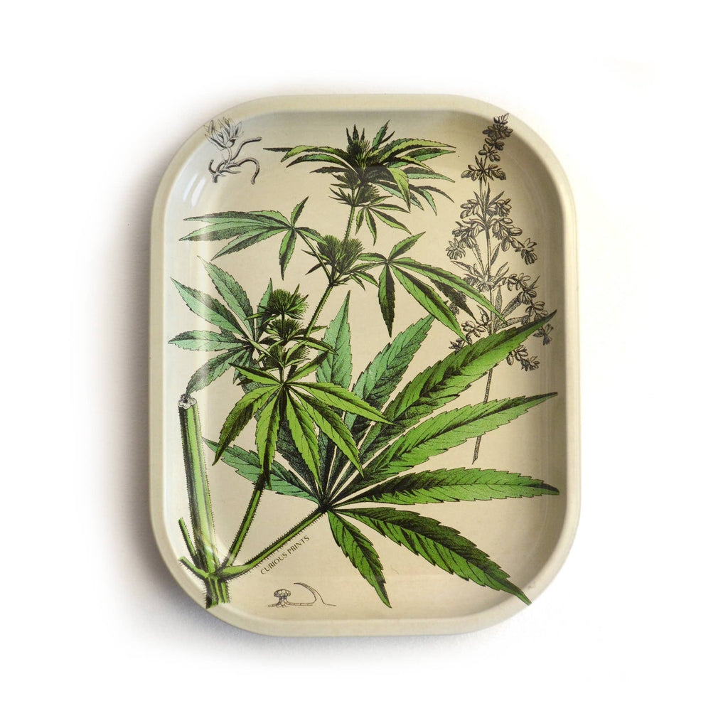 The Cannabis Ritual Tray features vintage illustrations of the cannabis plant, measures 5"x7" and is made of sturdy metal, perfect as a catch-all tray, rolling tray, or for use in your ritual space